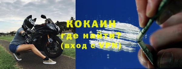 спиды Пересвет