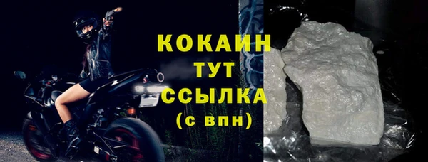 спиды Пересвет