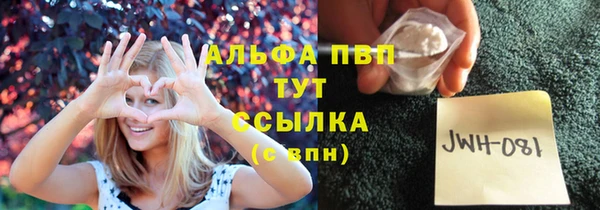 спиды Пересвет